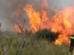 Φωτογραφία για «Μαγική» εικόνα: Ξεκίνησαν για Πάτρα δέκα Καναντέρ και έφτασαν μόνο τα δύο