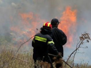 Φωτογραφία για Υπό μερικό έλεγχο η φωτιά στα Χανιά