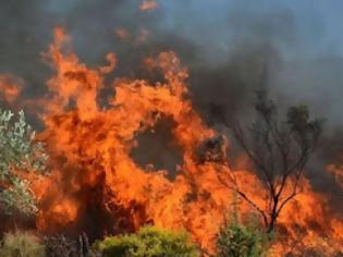 Φωτογραφία για Υπό μερικό έλεγχο τέθηκε η πυρκαγιά στο Διόνυσο Κερατέας