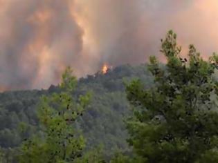 Φωτογραφία για Κάηκαν πέντε σπίτια, εκκενώθηκε παιδική κατασκήνωση