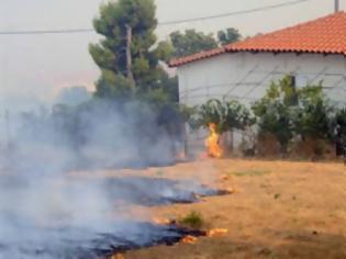 Φωτογραφία για Δύο επιτροπές για την καταγραφή των ζημιών στις πληγείσες περιοχές