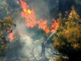 Φωτογραφία για Υπό μερικό έλεγχο τέθηκε η φωτιά στο Ρέθυμνο