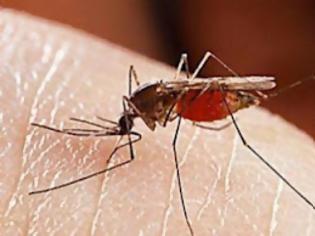 Φωτογραφία για Ελονοσία: Τι είναι-Πως αντιμετωπίζεται