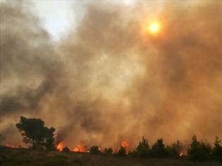 Φωτογραφία για Βιβλικές καταστροφές σε Χανιά και Ρέθυμνο από τις φωτιές σε Κίσαμο και Πλακιά αντίστοιχα