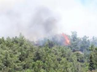 Φωτογραφία για ΠΡΙΝ ΛΙΓΟ: Έσβησε η φωτιά στο Σέιχ - Σου