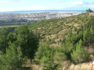 Φωτογραφία για Τρεις φωτιές τα ξημερώματα στο Σέιχ - Σου