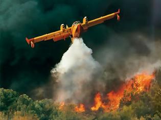 Φωτογραφία για Πυρκαγιά στην περιοχή Βελανιδιά στην Αργολίδα