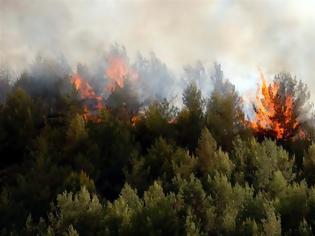 Φωτογραφία για Συναγερμός τα ξημερώματα από δυο φωτιές στο Σέιχ Σου