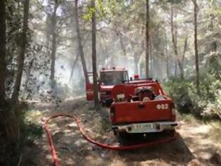 Φωτογραφία για Πρέβεζα: Και δεύτερη φωτιά τα ξημερώματα στο δάσος στο Μονολίθι - Εμπρησμό δείχνουν τα στοιχεία