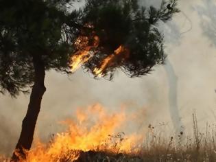 Φωτογραφία για Πυρκαγιά στο Γεράκι Ηρακλείου