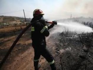 Φωτογραφία για Υπό έλεγχο οι φωτιές σε Ηλεία και Ζάκυνθο