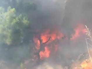 Φωτογραφία για Βίντεο ΣΟΚ απο την πυρκαγιά στο λεωφορείο στην Χίο