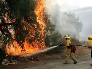 Φωτογραφία για Πυρκαγιά στη Νέα Καλλικράτεια Θεσσαλονίκης