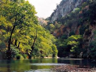 Φωτογραφία για Σουηδός βοτανολόγος αναδεικνύει τη χλωρίδα της χώρας μας