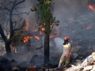 Φωτογραφία για Έτσι πέσαμε στο γκρεμό