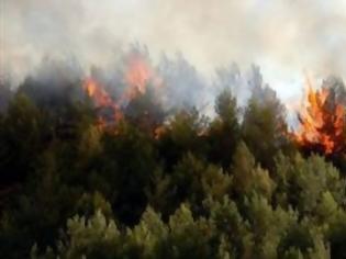 Φωτογραφία για Σε εξέλιξη οι πυρκαγιές σε Λακωνία και Ιωάννινα