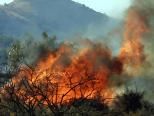 Φωτογραφία για Πυρκαγιά κοντά στο κτήμα Καραγκιόζη, στην Επανομή