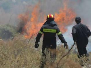 Φωτογραφία για Σε εξέλιξη η φωτιά στη Λακωνία