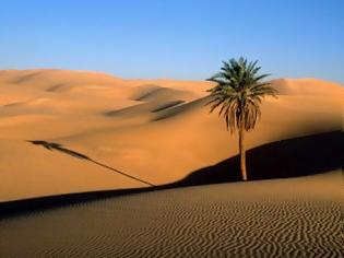 Φωτογραφία για Η Σαχάρα... δεν είναι έρημος!