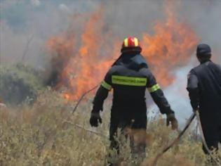 Φωτογραφία για Πυρκαγιά στη Δυτική Φθιώτιδα - Συναγερμός στην Π.Υ