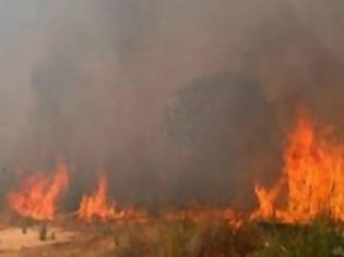 Φωτογραφία για Υπό μερικό έλεγχο η φωτιά στα Χανιά