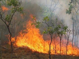 Φωτογραφία για Στις φλόγες αγροτοδασική έκταση στην Ζάκυνθο