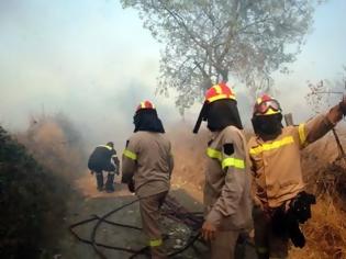 Φωτογραφία για Σε ύφεση η πυρκαγιά στην δυτική Αχαΐα