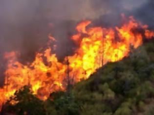 Φωτογραφία για Σε εξέλιξη φωτιά στο Κεφαλληνού Μεσσηνίας