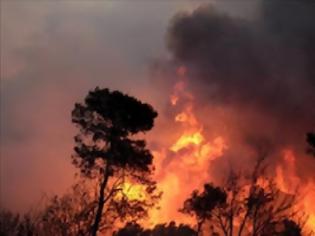 Φωτογραφία για Σε εξέλιξη η πυρκαγιά στη Ζάκυνθο