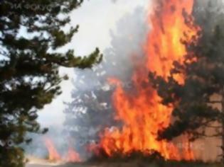 Φωτογραφία για Σε εξέλιξη επιχείρηση κατάσβεσης στη Βουλγαρία