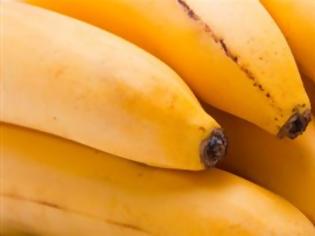 Φωτογραφία για Αποκωδικοποιήθηκε το DNA της μπανάνας