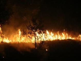 Φωτογραφία για Πυρκαγιά στο Παρανέστι Δράμας