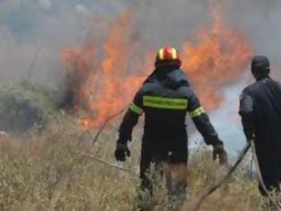 Φωτογραφία για Σε ύφεση η πυρκαγιά στη Δράμα