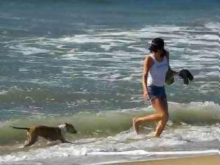 Φωτογραφία για Τι ορίζει ο νόμος για τα σκυλάκια στην παραλία