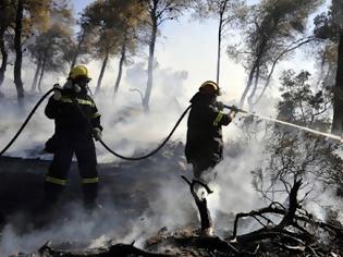 Φωτογραφία για ΑΧΑΪΑ: Πολίτες προσέφεραν φαγητό και νερό σε κατάκοπους πυροσβέστες