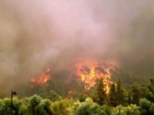 Φωτογραφία για Σε ύφεση η πυρκαγιά στον Κεραμέ του Ρεθύμνου