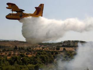 Φωτογραφία για Σε εξέλιξη πυρκαγιά στον Πολύγυρο Χαλκιδικής