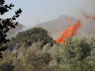 Φωτογραφία για Εικόνες βιβλικής καταστροφής στη μαρτυρική Βιάννο-Δείτε φωτογραφίες