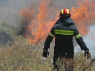 Φωτογραφία για Σε ύφεση η πυρκαγιά στα Καζάνια Ολύμπου