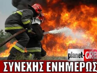 Φωτογραφία για ΤΩΡΑ: Κόλαση φωτιάς στην Κρήτη [ΦΩΤΟ]