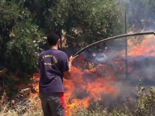 Φωτογραφία για Ανυπολόγιστη η καταστροφή στη Βιάννο - Πιάστηκε ύποπτος για εμπρησμό