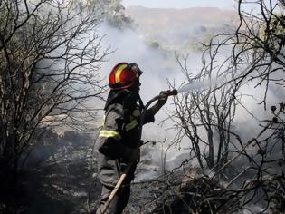 Φωτογραφία για Κρήτη: Κτηνοτρόφος και εργάτης κατηγορούνται για την καταστροφή στη Βιάννο