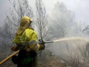 Φωτογραφία για Υπό πλήρη έλεγχο η πυρκαγιά στο Αγκαθωτό Φλώρινας