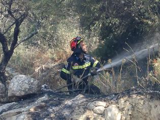 Φωτογραφία για Πυρκαγιές σε Αρκαδία και Κεφαλονιά