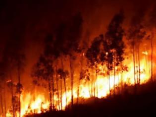Φωτογραφία για Σε εξέλιξη η πυρκαγιά στην περιοχή Σκουλικάδο της Ζακύνθου