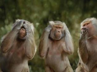 Φωτογραφία για Τέλος οι συντάξεις-μαϊμού