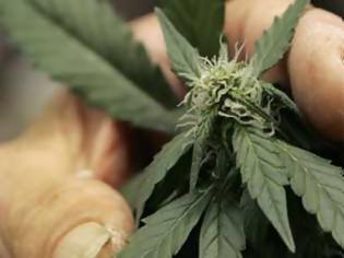 Φωτογραφία για Συλλήψεις για ναρκωτικά στον Πειραιά