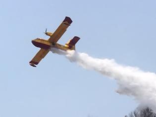 Φωτογραφία για Φωτιά σε Χαλκιδική και Αργολίδα