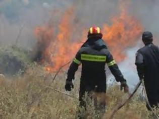 Φωτογραφία για Υπό πλήρη έλεγχο η φωτιά στη Χαλκιδική