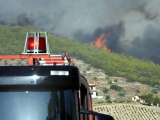 Φωτογραφία για 21 πυρκαγιές στην Κρήτη λίγες μέρες μετά την απόφαση Σ.τ.Ε. για ΑΠΕ και σε αναδασωτέες εκτάσεις !